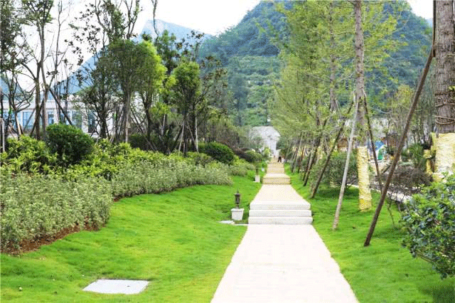 贵州红果经济开发区绿化养护工程