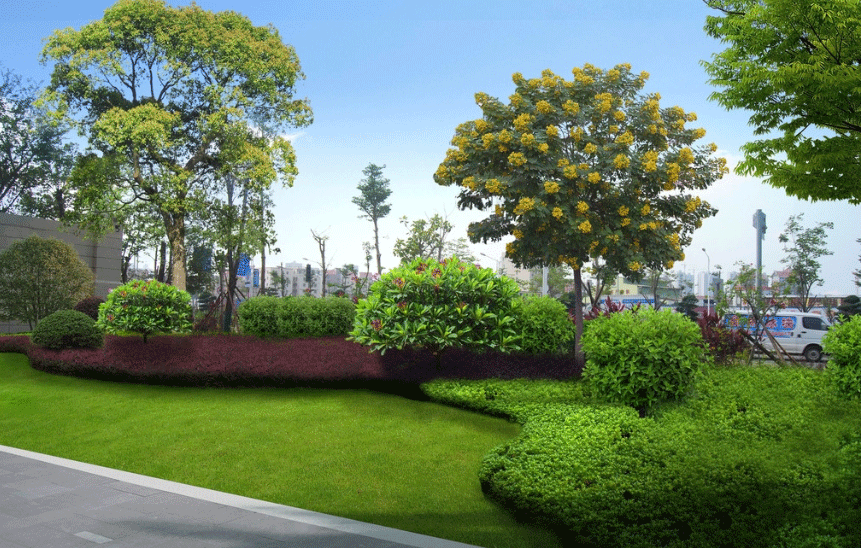 南明区绿苑天源居公园绿化改造工程