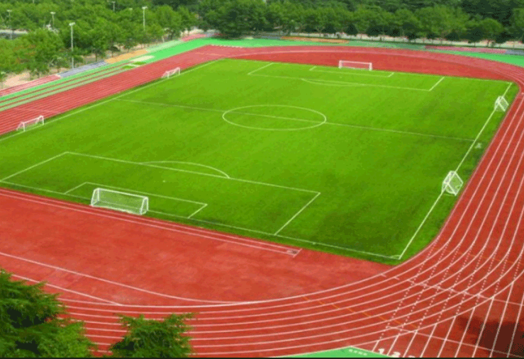 织金县八步镇八步村八步中学足球场项目