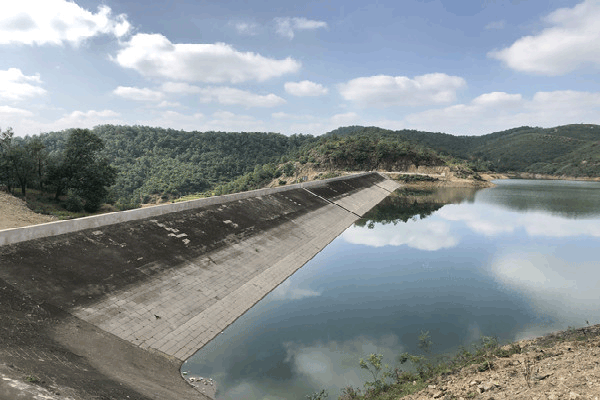 德江县桶井乡楠杆子水库出险加固工程建设项目